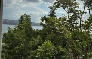 Apartmani Karlobag - Foto 35