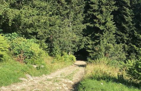 Presolana House - Photo 22