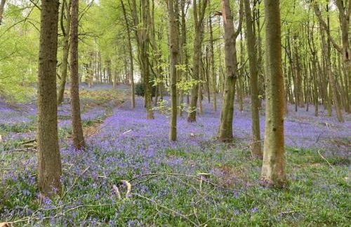 Beautiful Cotswold Farmhouse with Hot tub - Foto 16
