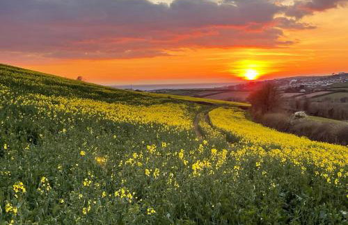 Beech Hut - a streamside family escape near Salcombe and Beaches - Foto 39