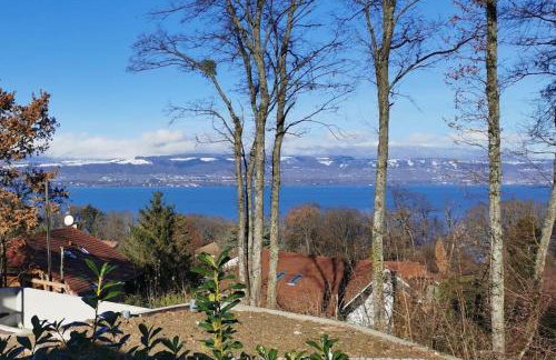 Le chalet du Leman - Vue lac - Yvoire - Foto 16