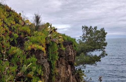 Entre Terre et Mer - Foto 40