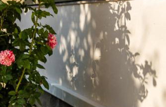 Studio Flower - Foto 13