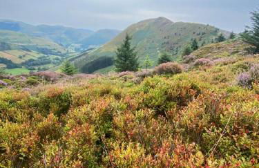 Glasfryn Cottage Dolgellau - Foto 16