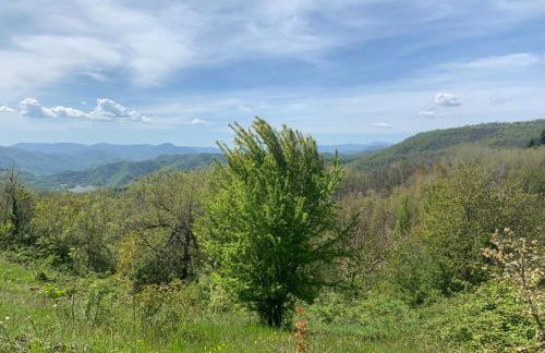 Ca' Inua - arte, bosco, ospitalità - Photo 16