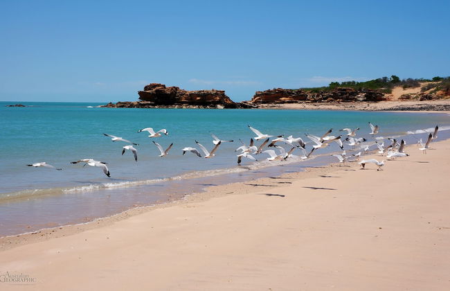 Apartments at Blue Seas Resort - Photo 16