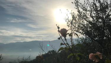 Casa Vacanze Vecciano - Foto 3