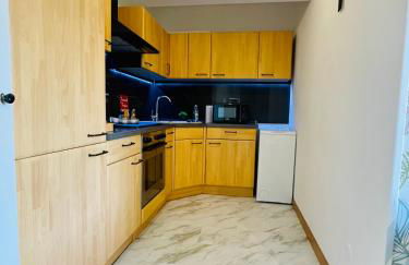 L'escale aux 3 frontières, parking, wifi, balcon - Foto 20