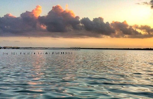 TOUR BACALAR mágico com passeio de Barco Pontão. (Transporte + Café da Manhã + Alimentação) - Foto 8