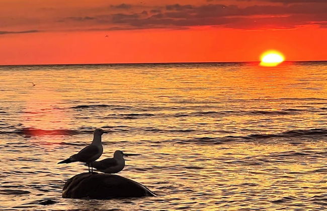 "stunning Serenity Cove On The Lake Cozy Cottage" - Foto 16