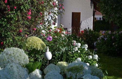 Pichler Roswitha - Foto 15