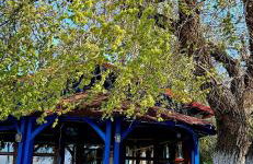 Villa Jolanta - Foto 29