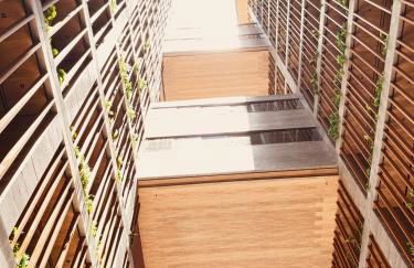 Maceió - Pajuçara - New Time Apt 516 - Photo 34