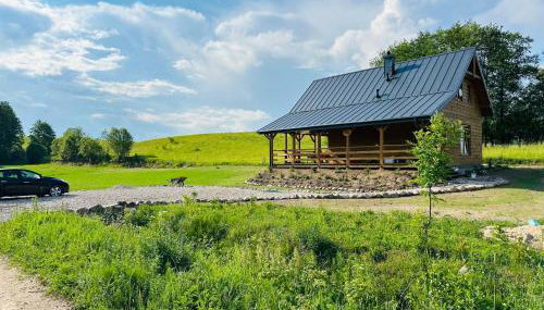 Uroczysko Czostków - Foto 1, Garden view