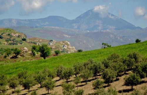 Ciuci's Manor - Foto 16