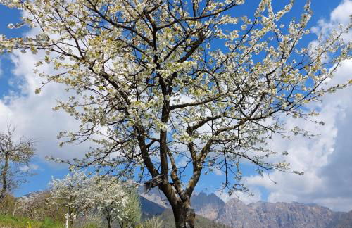 La casa di Maia - Alloggio Agrituristico - Foto 57