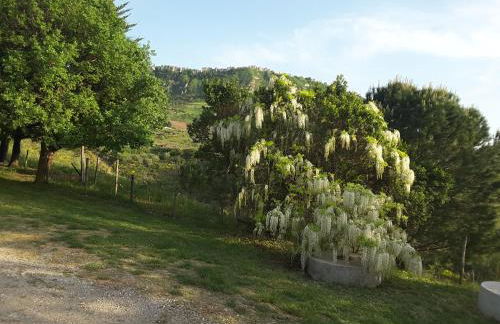 Giardino Donna Lavia - Foto 38