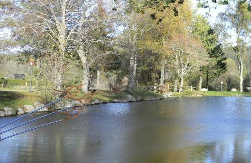 Schönwald Schwarzwaldhäuser Apartment 7 - Foto 25