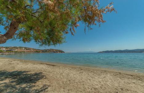 Spela House - Foto 50