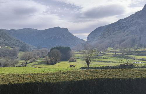 El Mirador del Nansa - Foto 20