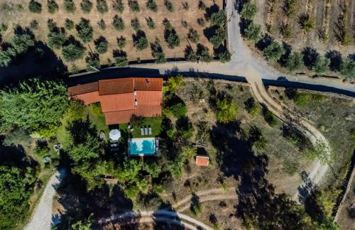 Quinta da Pereira - Photo 25