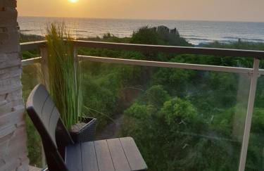 Le bélouga - Foto 1