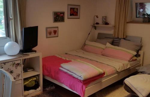 Ferienwohnung Am Berg, 35qm - Photo 8