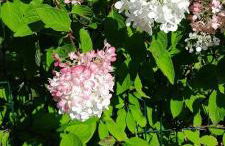 Élégant apt avec vue Tour Eiffel & parking privé - Foto 36