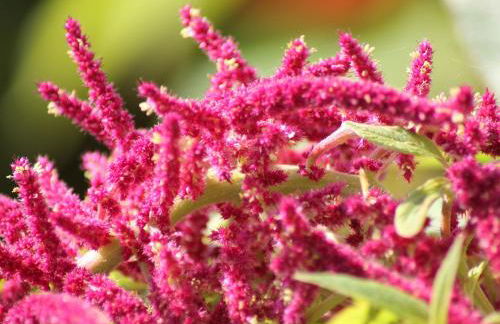 Einladende Ferienwohnung in Zweedorf mit Grill - Foto 63