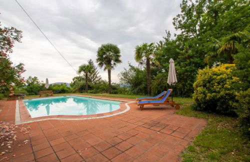 Le Baron Perché - Foto 53