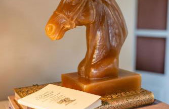 Domaine de la Serve - Foto 31