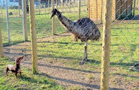 Wild Coastal Retreat at Troed Y Rhiw Aberporth, West Wales - Foto 41