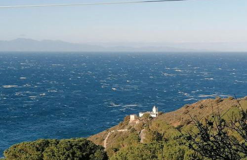 L' Elicriso - Foto 32