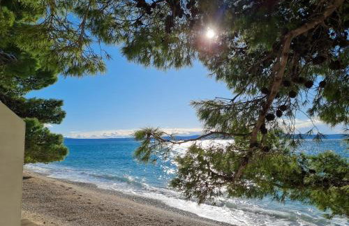 Vila Maslina Apartments mit Pool und Garten nahe am Strand - Foto 15