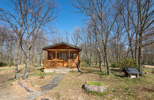 Cabañas Vallecino - Foto 43