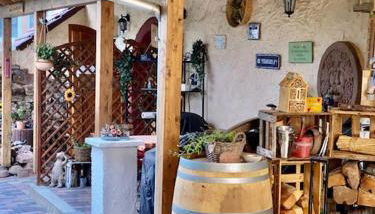 Phönix aus der Asche - Foto 5