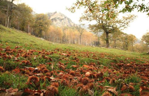 Mansarda plein soleil - Foto 20