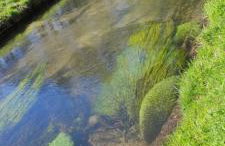 FeWo ALBTALECK - Wohnen im Kurort Waldbronn - Photo 32