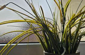 Zweite Heimat Bamberg - stadtnah mit Balkon und Parkplatz - Foto 11