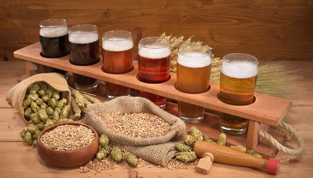 Private deutsche Bierverkostungstour in der Frankfurter Altstadt - Foto 5