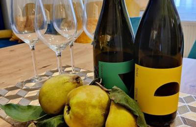 Kuća za odmor Villa Cesarica - Zagreb - Foto 20