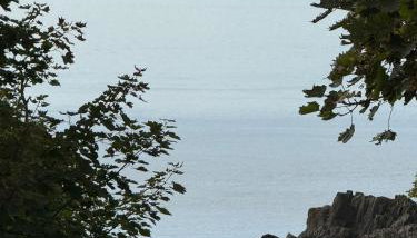 Wee Knockinaam, Portpatrick - clifftop seaview - Foto 5, Garden