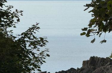Wee Knockinaam, Portpatrick - clifftop seaview - Foto 5
