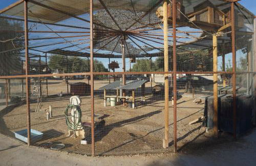 CUCHI FARM - Foto 22