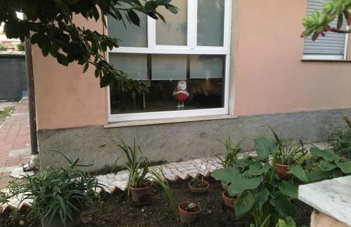 Maison Cavalli - Foto 18