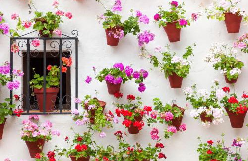 Apartamento el Arcángel de Córdoba - Foto 22