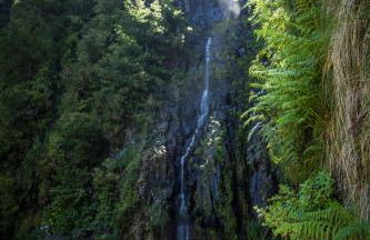 Rocha House - Foto 71