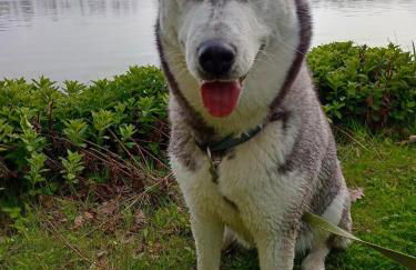 Ferienhof im grünen Herzen - Foto 5