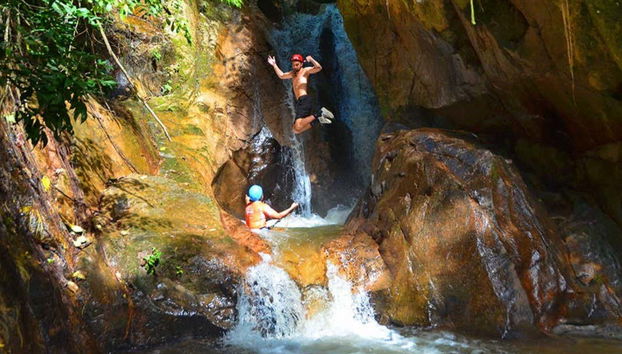 Divertimento nella giungla