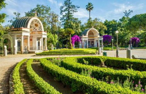 casadifederica - Foto 21